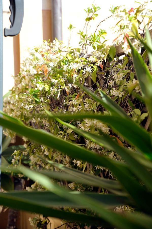 Giardino In Citta; Centralissimo Sanremo Eksteriør billede